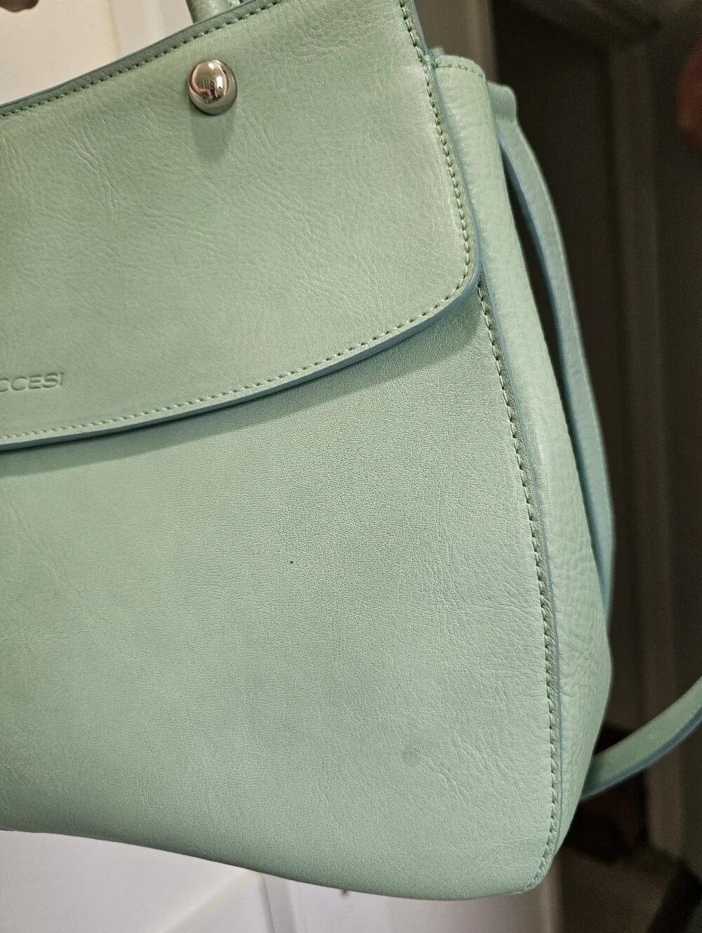 Massaccesi Mint Green Handmade Vachetta Leather Charlotte Satchel GUC